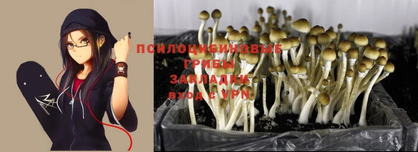 соль курить ск Абаза