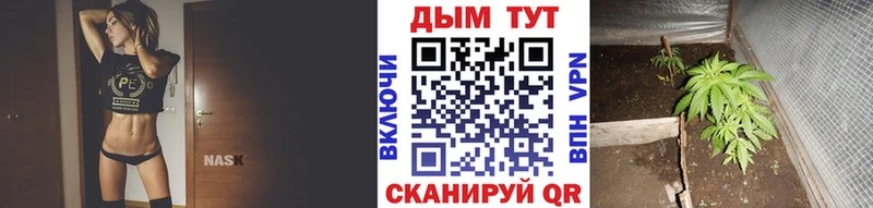 купить наркотик  Ливны  гидра вход  Каннабис AK-47 